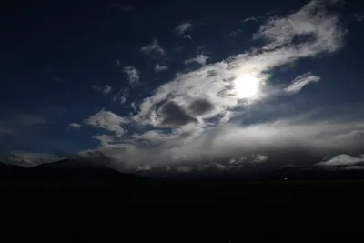 DSC_5788 (Large).JPG